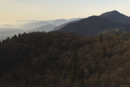 Ausblick vom Weissenstein entlang des Juras.