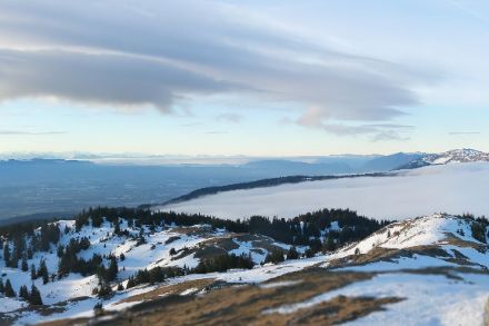 Webcambild vom Jura mit Lenticularis-Wolken
