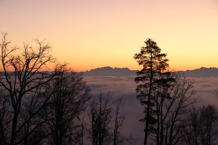 Sonnenaufgang auf dem Albispass mit einer Nebelobergrenze um 700 Meter. Foto: Daniel Gerstgrasser