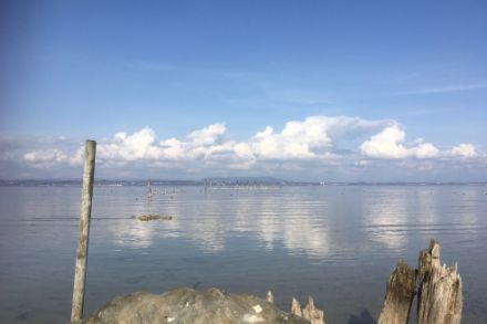 Güttingen am Bodensee am Donnerstagnachmittag, 23.02.2023. Bild: W. Nater.