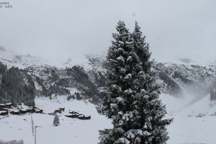 Verschneites Tal und Bäume