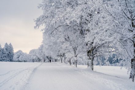 Viele Menschen haben ihn am liebsten: Frisch gefallenen Pulverschnee.