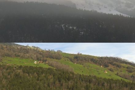 Kaum zu glauben, aber wahr. Am 12. März 2023 war in Goldau der Winter zu Gast, nur einen Tag später verscheuchte ihn der Föhn auf wirkvollste Art und Weise. Bei 20 Grad und strahlendem Sonnenschein war der kalte Vortag schon wieder fast vergessen. Bildquelle: https://kachelmannwetter.roundshot.com/tierparkgoldau.