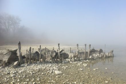 Am Bodensee hatte es heute Vormittag nicht nur Hochnebel, sondern auch Nebel, welcher sich am frühen Nachmittag auflöste. Bildquelle: Werner Nater.