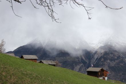 Bild aus Eischoll im Wallis von D. Gerstgrasser.