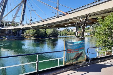 Brücke über den Rhein bei Schaffhausen, im Vordergrund hängt ein Hinweis am Geländer, dass hier Erholungszonen für Fische errichtet wurden.