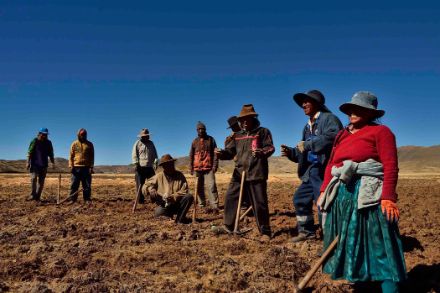 Peruanische Bauern stehen bereit für ein Foto während der Arbeit auf dem Feld.