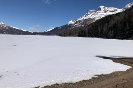 In Sils-Maria im Oberengadin präsentierte sich der heutige Ostersonntag von seiner sonnigen Seite. Bildquelle: Meteomeldungen/App.