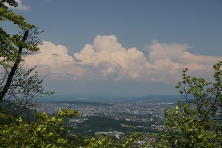 Mächtige Quellwolken über der Region Schwarzwald-Hegau, gesehen am Montagmittag von der Albiskette. Bild: D. Gerstgrasser