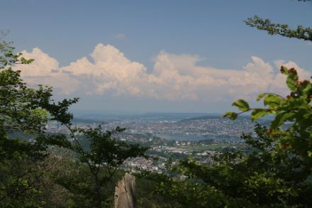 Sommerliche Stimmung über Zürich am 22.5.23. Bild: D. Gerstgrasser