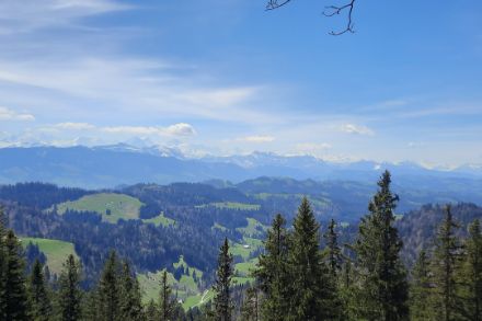 Vom Napf aus waren ein paar wenige Schleierwolken und flache Quellwolken sichtbar. Die bisherige Höchsttemperatur des laufenden Jahres auf dem Napf wurde heute mit 17.4 Grad überboten (bisher 15 Grad). Foto: R. Bleiker