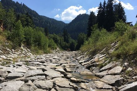 Soweit sind wir zum Glück noch nicht: Grossbach der BAFU-Messstation bei Einsiedeln am 25.07.2018. Quelle: BAFU