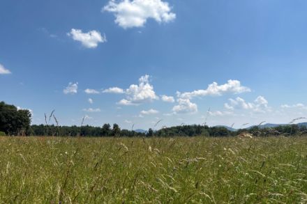 Ein paar harmlose Quellwolken zierten heute Mittag den Himmel in Wittnau. Foto: Meteomeldung/APP