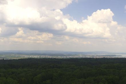 Blick vom Thurgauer Seerücken nordwärts über die Stadt Konstanz hinweg, wo sich eine Wolkenstrasse in der Bisenströmung über den Bodensee hinweg zieht. Quelle: napoleonturm.roundshot.ch 
