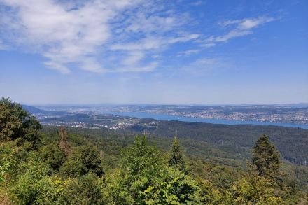 Aussicht vom Albishorn in Richtung Stadt Zürich. Foto: N. Graf