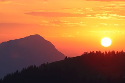 Auf dem Hudelschijen oberhalb der Ibergeregg am Sonntagabend, 20. August 2023 mit Blick zur Rigi. Bild: D. Gerstgrasser