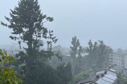 Es wird am zentralen und östlichen Alpennordhang intensiver Dauerregen erwartet. Bild: Meteomeldungen/APP