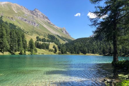 Foto des Lai da Palpuogna bei schönstem Sommerwetter: blauer Himmel, sattes Grün.