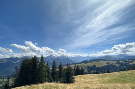 Alpine Weide mit Tannen und blauem Himmel mit wenig Wolken.