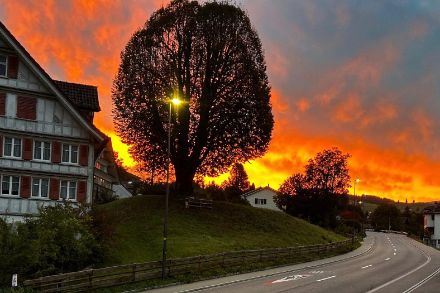 Sonnenaufgang bei St. Peterzell. (App/Meteomeldung)