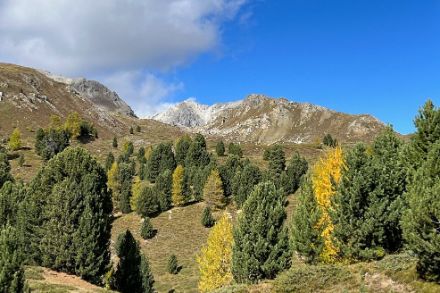 Berglandschaft mit Wald und blauem Himmel.