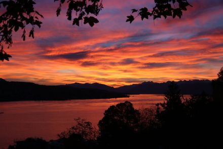 Herrliches Morgenrot von Thalwil aus aufgenommen von D. Gerstgrasser.