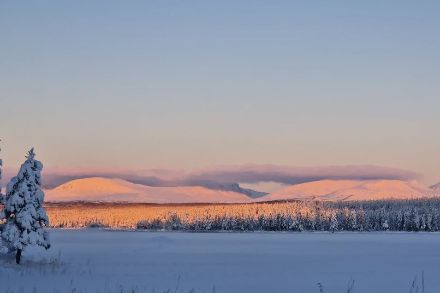 16. November in der Region des Storjö-Sees (Foto: Britt Ellénius, www.svt.se) 