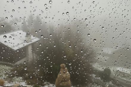 Aus dem schönen Schneefall wurde im Laufe des Tages Regen. Grund war warme Luft in der Höhe. (Quelle: Wettermeldung/App)