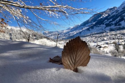 Foto mit verschneiter Tallandschaft. Quelle: Meteomeldung/App