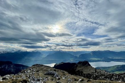 Unten grün, oben weiss – Blick ins Berner Oberland (Quelle: MeteoSchweiz / J. Bhend)