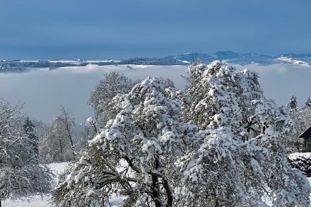 Winterlandschaft in Hildisrieden.