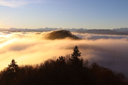 Foto mit Blick auf das Nebelmeer bei tiefstehender Sonne.