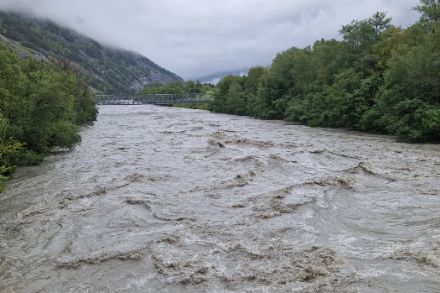 Der Rhein führte sehr viel Wasser Ende August 2023.