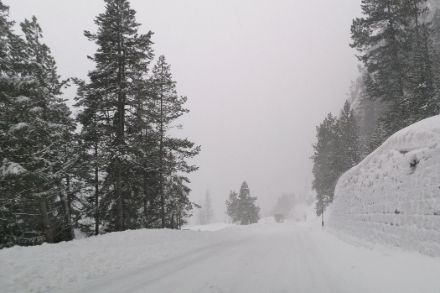 Neuschnee in Zernez (GR).