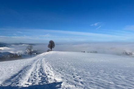 Blick oberhalb von Eriswil auf das Nebelmeer.
