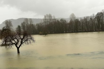 Starkniederschläge verursachen in der Schweiz immer wieder Überschwemmungen, wie beispielsweise gestern in der Nähe von Brugg. Bildquelle: Meteomeldungen/App.
