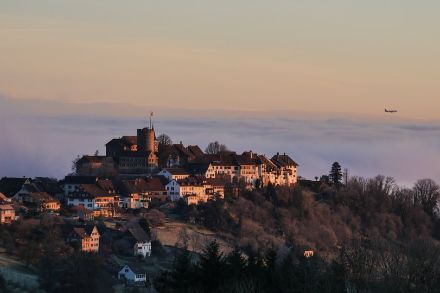 Regensberg lag heute Morgen knapp über dem Nebel. Bild: Daniel Buck