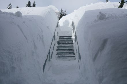 Zugang zum Schneemessfeld San Bernardino im Februar 2014. Bild: MeteoSchweiz