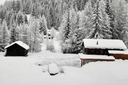 Am Wochenende bekommen viele Alpenregionen Neuschnee. Quelle: Meteomeldungen/App
