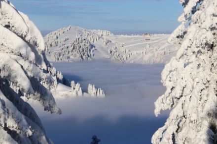 Raueis-Neuschnee-Hochnebel-Winterlandschaft heute auf der Rigi. (Foto: D.Gerstgrasser)