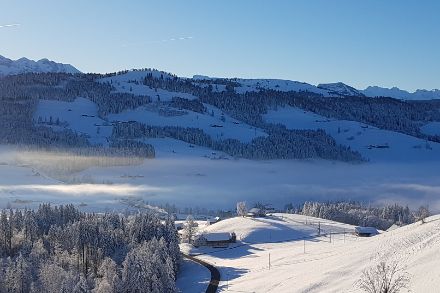 Blick von Schwellbrunn Richtung Südwesten. Die Hochnebelobergrenze (rechts im Bild noch knapp erkennbar) lag mit rund 900 Metern knapp tiefer. Foto: Christa Hayoz