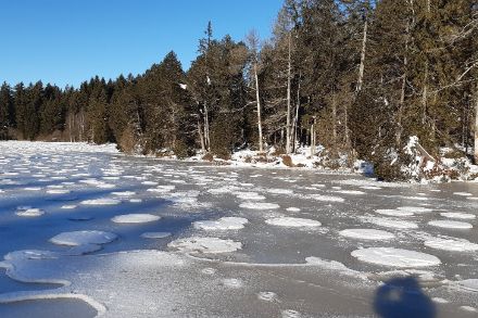 Etang de la Gruère, Franches Montagnes (Bild: Florence Waecker)