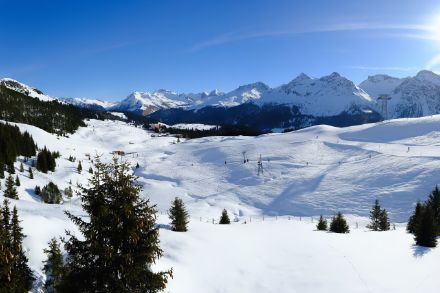 Winterliche Landschaft oberhalb von Arosa auf rund 2000 Metern liegt aktuell ungefähr so viel Schnee wie zu dieser Jahreszeit üblich.  (Quelle: baerenland.roundshot.com)