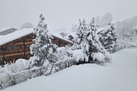 Weisses Erwachen in Grindelwald.