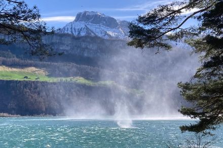 Vorgestern peitschte der Föhn das Wasser auf dem Vierwaldstättersee auf. Solche Bilder werden auch in den nächsten Tagen zu sehen sein.