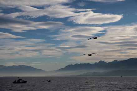 Föhnwolken über dem Zürichsee. Archivbild von Daniel Gerstgrasser.