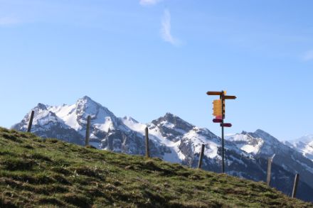 In welche Richtung geht es nach dem sonnigen und warmen Wochenende weiter? Foto von D. Gerstgrasser bei der Alp Wildegg am Chli Aubrig.