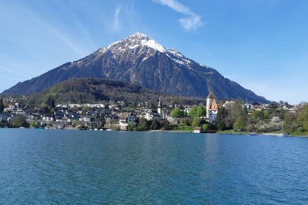 Thunersee und Niesen heute Morgen. Bild: Meteomeldungen/App