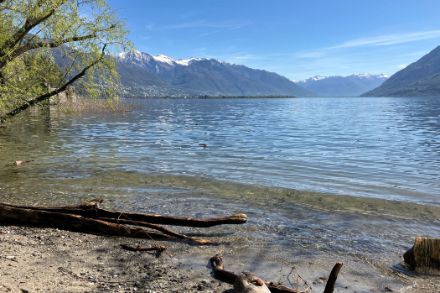 Blick von der Brissago-Insel San Pancrazio in Richtung Ascona und die oberhalb von ca. 2000 Metern am 14. April noch verschneiten Tessiner Berge