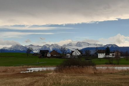 Prächtige Föhnstimmung am 3. März 2024. Blick vom Zürcher Oberland zu den Glarner- und Schwyzer-Alpen.